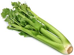 SEDANO VERDE ELNE NR.2000 SEMI